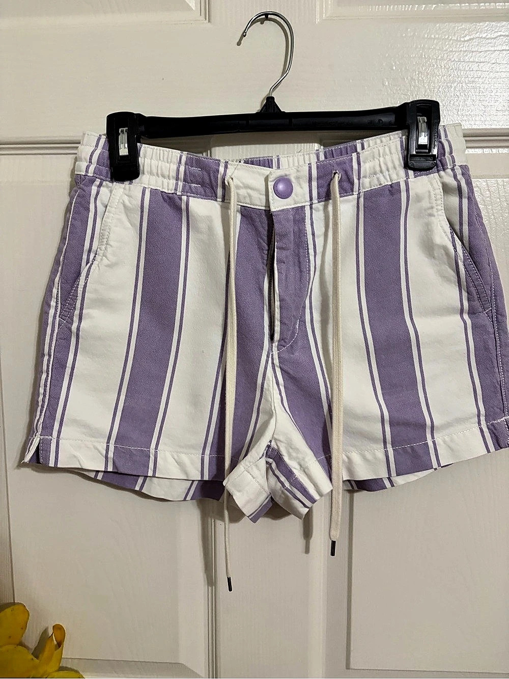 American Eagle Striped Shorts Purple & White
